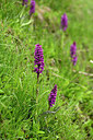 BUITEN BEELD Foto: 447548