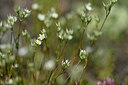 BUITEN BEELD Foto: 447549