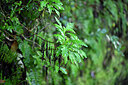BUITEN BEELD Foto: 447552