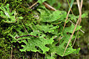 BUITEN BEELD Foto: 447554
