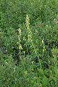 BUITEN BEELD Foto: 447557