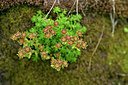 BUITEN BEELD Foto: 447558
