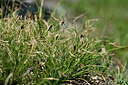 BUITEN BEELD Foto: 447563