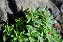 BUITEN BEELD Foto: 447570