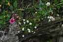 BUITEN BEELD Foto: 447575