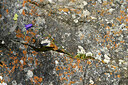 BUITEN BEELD Foto: 447576