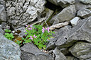 BUITEN BEELD Foto: 447583
