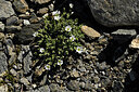 BUITEN BEELD Foto: 447586