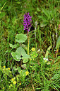 BUITEN BEELD Foto: 447587