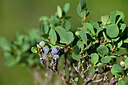 BUITEN BEELD Foto: 447590