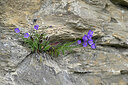 BUITEN BEELD Foto: 447591