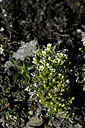 BUITEN BEELD Foto: 447596