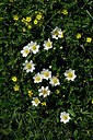 BUITEN BEELD Foto: 447600