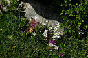 BUITEN BEELD Foto: 447601