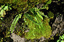 BUITEN BEELD Foto: 447602
