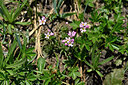 BUITEN BEELD Foto: 447603
