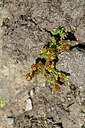 BUITEN BEELD Foto: 447604