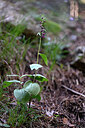 BUITEN BEELD Foto: 447605
