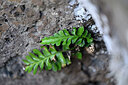BUITEN BEELD Foto: 447606