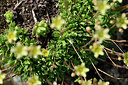 BUITEN BEELD Foto: 447610