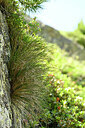BUITEN BEELD Foto: 447613