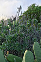 BUITEN BEELD Foto: 447614