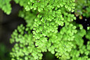 BUITEN BEELD Foto: 447618