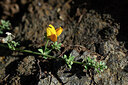 BUITEN BEELD Foto: 447622