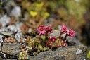 BUITEN BEELD Foto: 447626