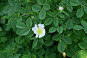 BUITEN BEELD Foto: 447627