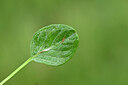 BUITEN BEELD Foto: 447629