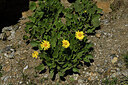 BUITEN BEELD Foto: 447631