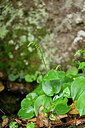 BUITEN BEELD Foto: 447634