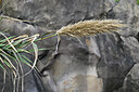 BUITEN BEELD Foto: 447636