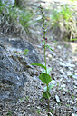 BUITEN BEELD Foto: 447637