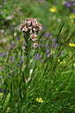 BUITEN BEELD Foto: 447644
