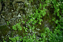BUITEN BEELD Foto: 447645