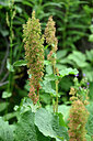 BUITEN BEELD Foto: 447647