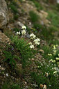BUITEN BEELD Foto: 447648