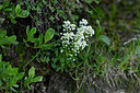 BUITEN BEELD Foto: 447652