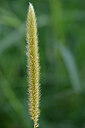 BUITEN BEELD Foto: 447653