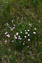 BUITEN BEELD Foto: 447654