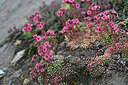 BUITEN BEELD Foto: 447656
