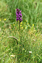 BUITEN BEELD Foto: 447659