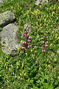 BUITEN BEELD Foto: 447661
