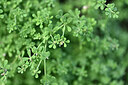 BUITEN BEELD Foto: 447663