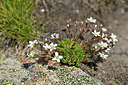 BUITEN BEELD Foto: 447665