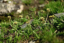 BUITEN BEELD Foto: 447666