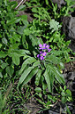 BUITEN BEELD Foto: 447669