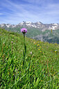 BUITEN BEELD Foto: 447671